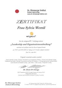 Leadership und Organisationsaufstellung_Zertifikat